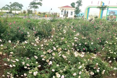 Khung cảnh trường em – Trường mầm non Khánh Thịnh – Bông hoa thơm ngát ở trường lớp em🌺  Là bông hoa nhỏ cháu ngoan Bác Hồ🌼