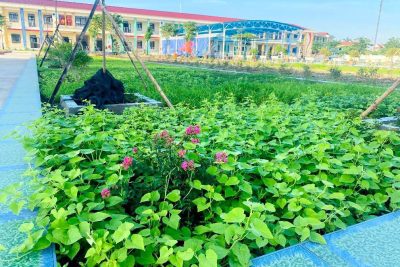 Ai hỏi cháu, cháu học trường nào đấy –>Trường của cháu đây là trường Mầm non Khánh Thịnh